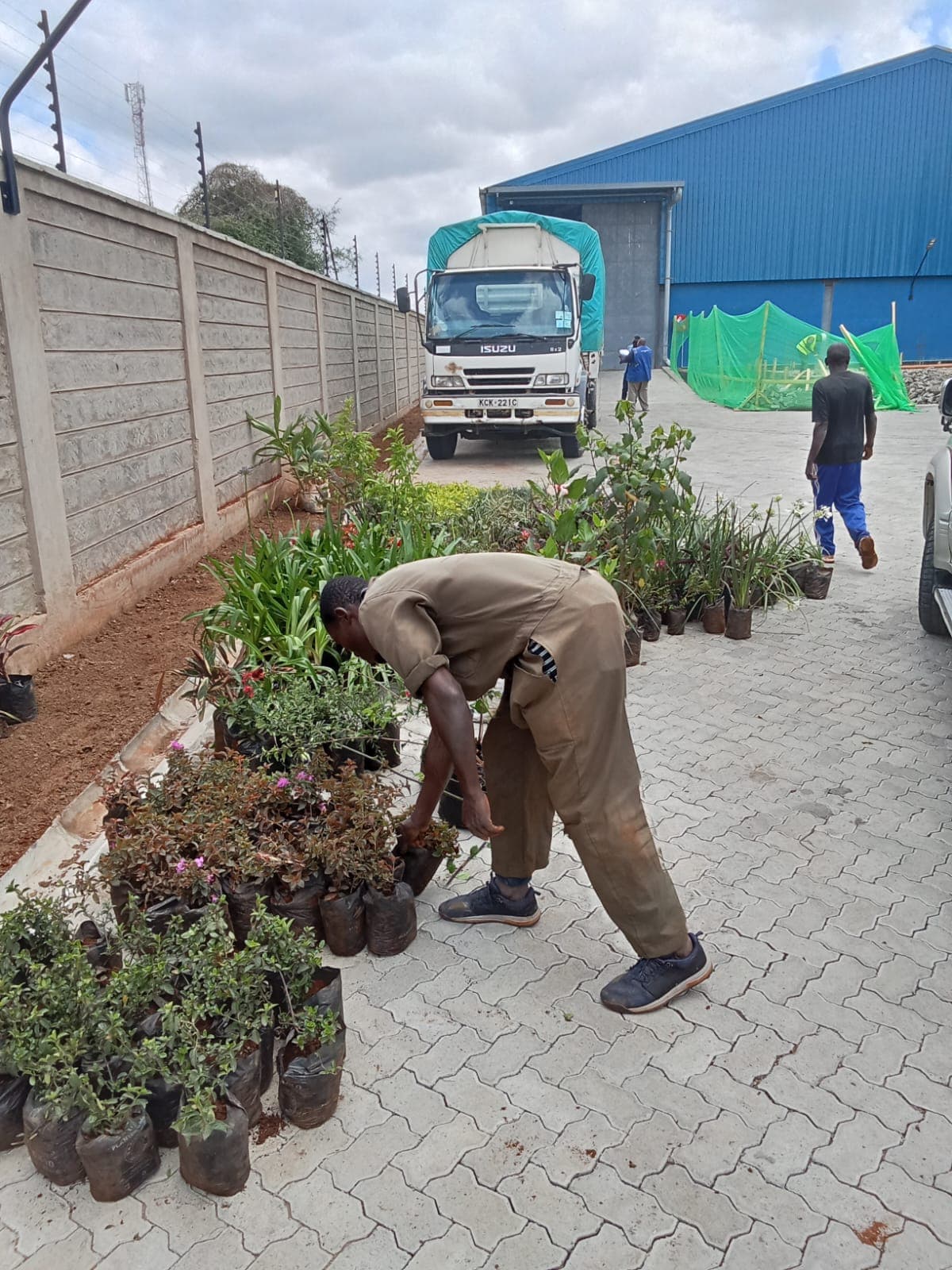 Kisaju Landscaping Project