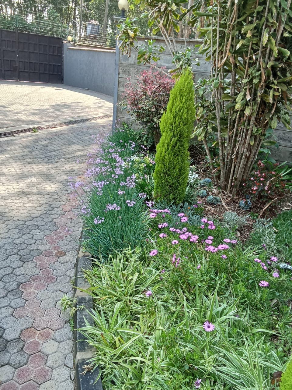 Sustainable Landscaping